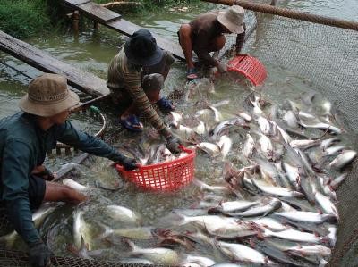 Cạnh tranh thương mại cần một sự công bằng - ảnh 1