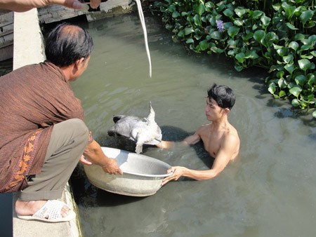 Lê Trọng Khánh, người đi đầu phong trào nuôi ba ba ở Sơn La - ảnh 1