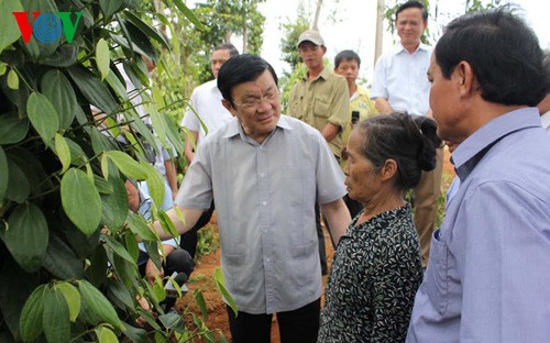 Chủ tịch nước Trương Tấn Sang thăm và làm việc tại Quảng Trị - ảnh 2