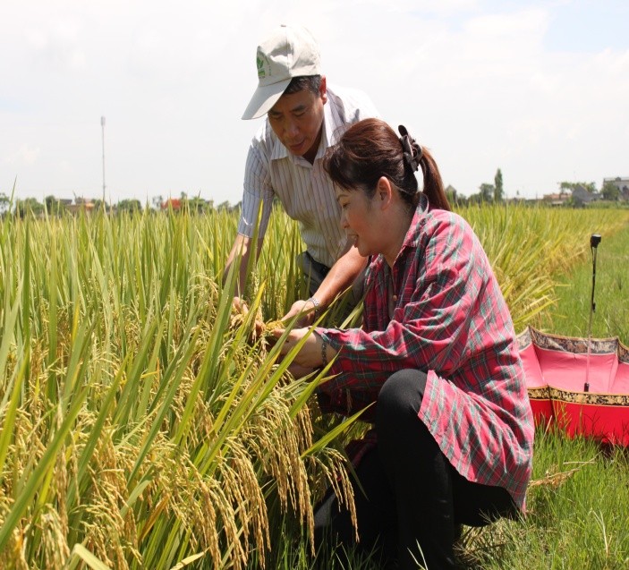 Tiến sỹ Hà Thị Thúy: Gửi đam mê khoa học vào những giống cây - ảnh 3