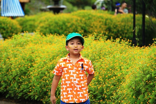 Đà Lạt, thành phố Festival hoa - ảnh 3