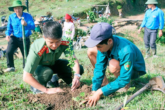 Giới thiệu Giải thưởng Tình nguyện Quốc gia năm 2017 - ảnh 1