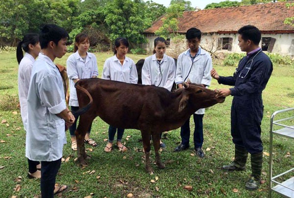 Thầy giáo trẻ với tâm huyết tạo cơ hội việc làm cho sinh viên - ảnh 1