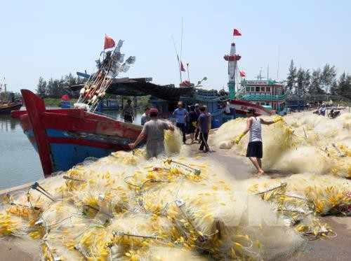 Đà Nẵng tăng cường truy xuất nguồn gốc thủy, hải sản - ảnh 2