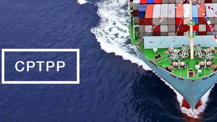 CPTPP – Cơ hội và thách thức cho sự phát triển của Việt Nam - ảnh 2