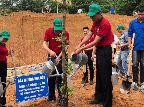 Tăng cường quản lý chống sa mạc hóa và suy thoái đất ở Việt Nam - ảnh 1