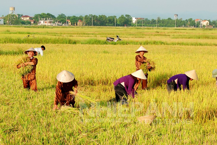 Về Quảng Bình nghe hò khoan Lệ Thủy - ảnh 3