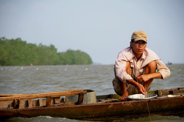 Về cồn An Lộc săn cá bông lau sông Hậu - ảnh 5