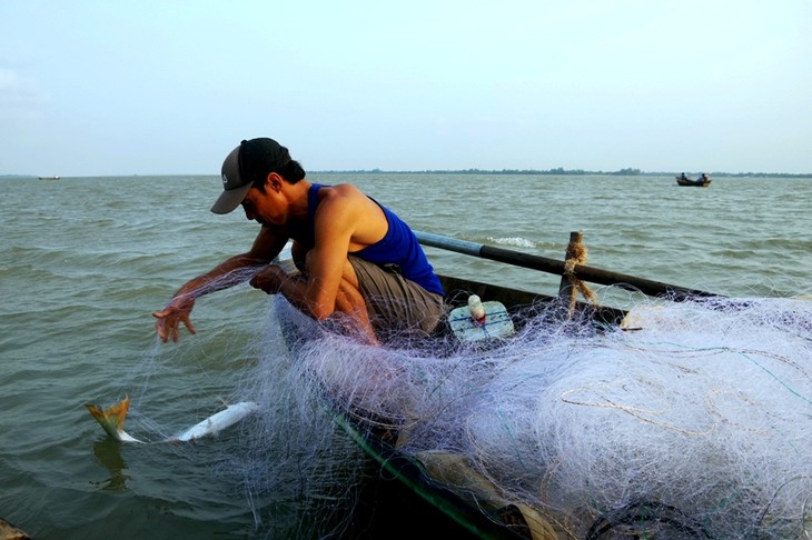 Về cồn An Lộc săn cá bông lau sông Hậu - ảnh 8