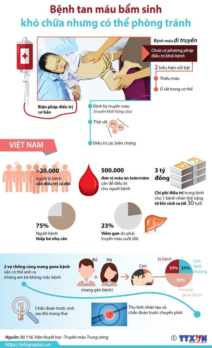 Tăng cường nhận thức về bệnh tan máu bẩm sinh để nâng cao chất lượng dân số - ảnh 1