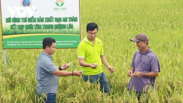 Trà Vinh: nhiều thanh niên khởi nghiệp thành công với nông sản - ảnh 1