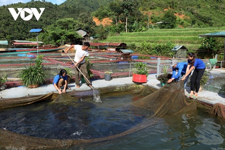 Thanh niên Lai Châu khởi nghiệp từ mô hình hợp tác xã - ảnh 1