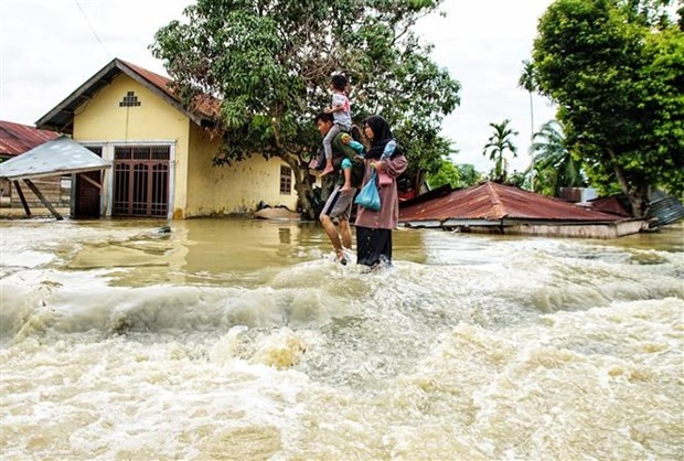 Hội nghị Bộ trưởng ASEAN về quản lý thiên tai lần thứ 10 - ảnh 1