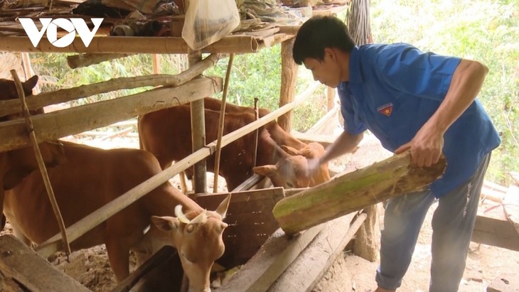 Động lực giúp thanh niên Sơn La khởi nghiệp - ảnh 4