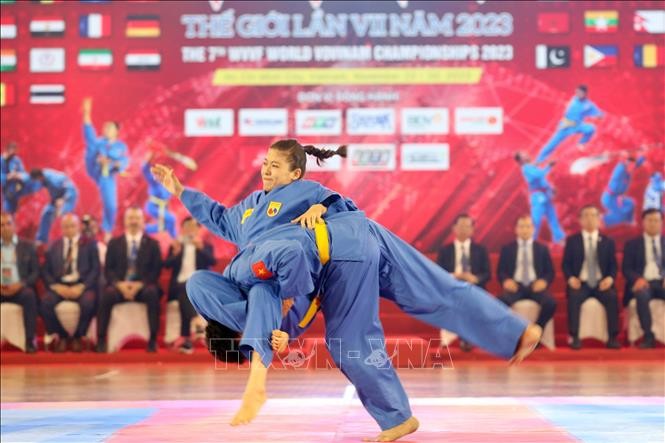 Khai mạc Giải vô địch Vovinam thế giới lần thứ VII - ảnh 1