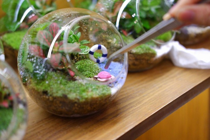 Trần Đức Lập – Chàng trai trẻ khởi nghiệp từ mô hình Terrarium - ảnh 1