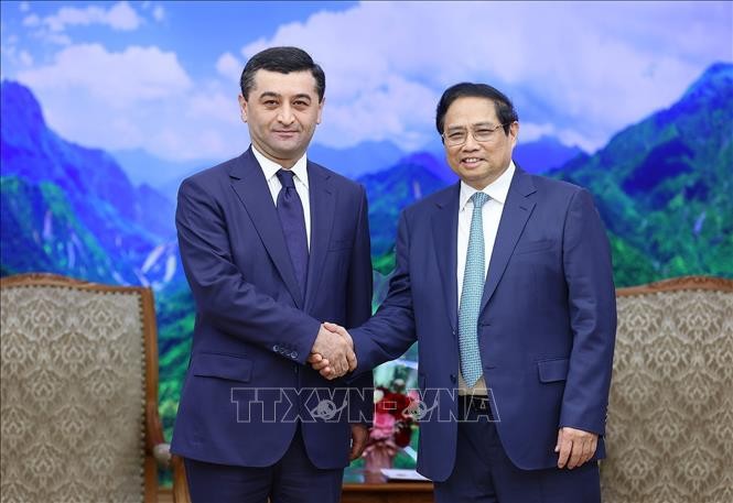 Thúc đẩy hợp tác một cách toàn diện Việt Nam - Uzbekistan - ảnh 1