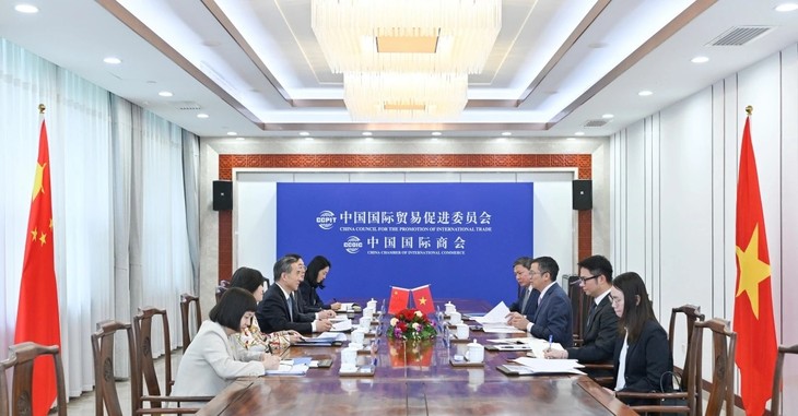 Thúc đẩy hợp tác về xúc tiến thương mại, đầu tư giữa Việt Nam-Trung Quốc - ảnh 1