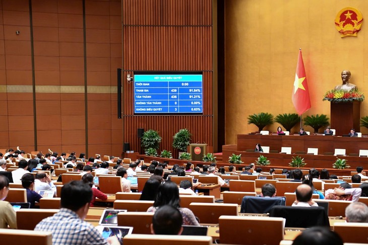 Việt Nam là thành viên tích cực, có trách nhiệm trong cộng đồng quốc tế - ảnh 2