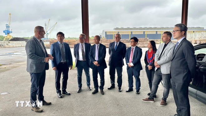 Thúc đẩy hợp tác cấp địa phương giữa Việt Nam và Pháp - ảnh 1