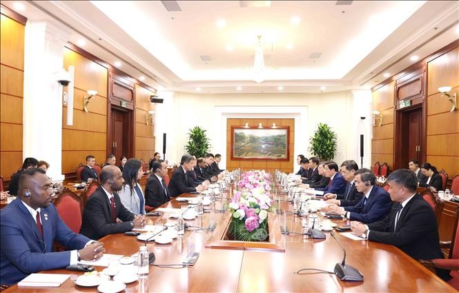 Việt Nam-Singapore tăng cường hiểu biết và củng cố tin cậy chính trị - ảnh 1