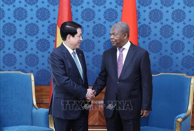 Chuyến thăm cấp Nhà nước tới Ai Cập và Angola của Chủ tịch nước Lương Cường thúc đẩy hợp tác toàn diện với châu Phi - ảnh 1