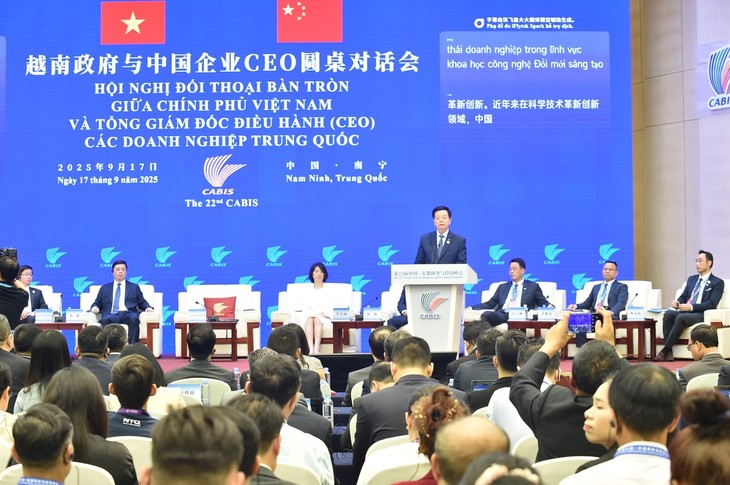 Phó Thủ tướng Mai Văn Chính dự đối thoại bàn tròn với CEO các doanh nghiệp Trung Quốc - ảnh 1