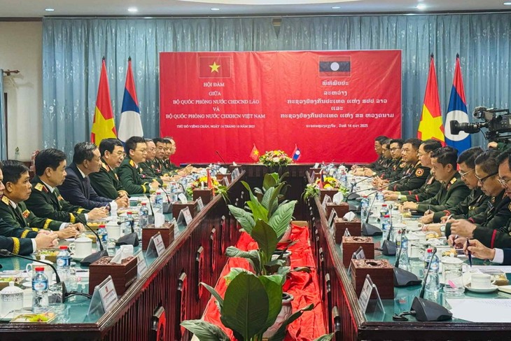 Việt Nam - Lào tăng cường hợp tác trong lĩnh vực đào tạo, bồi dưỡng nguồn nhân lực - ảnh 2