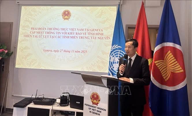 Phái đoàn thường trực Việt Nam tại Geneva, Thụy Sỹ tiếp nhận ủng hộ của kiều bào hỗ trợ bà con vùng lũ - ảnh 1