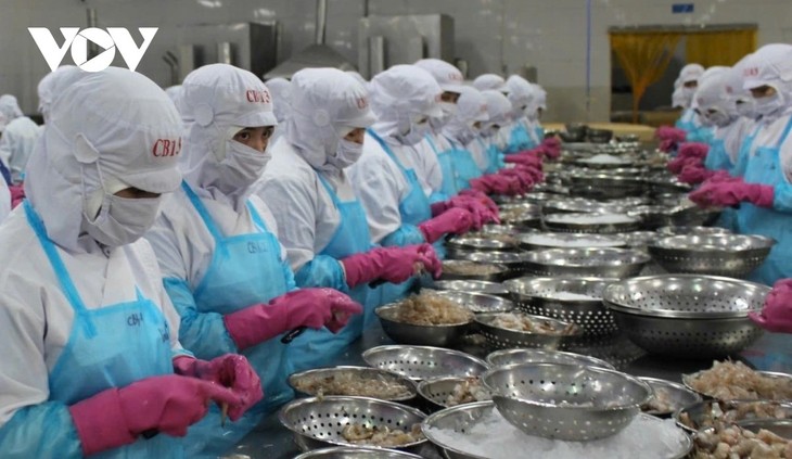 Xuất khẩu thuỷ sản có thể lập kỷ lục mới trong năm 2025 - ảnh 1