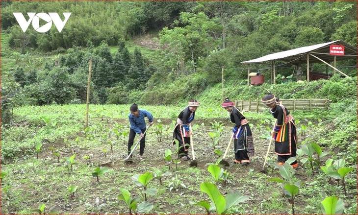 Bà Triệu Thị Mản - Người “giữ lửa” niềm tin ở bản Dao Phiêng Phàng - ảnh 4