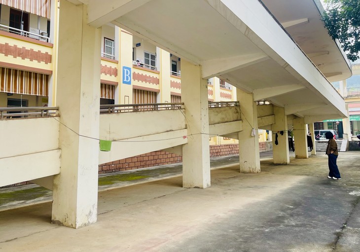 Kiều bào tại Mỹ chung tay sẻ chia với đồng bào trong nước trước thềm Tết Nguyên đán - ảnh 3