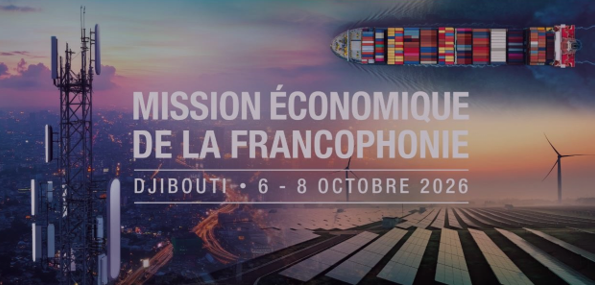 Thúc đẩy hợp tác kinh tế Pháp ngữ tại Đông Phi - ảnh 1