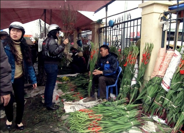 Pasar bunga Quang Ba (Hanoi) pada tanggal 30 bulan duabelas tahun imlek  - ảnh 1