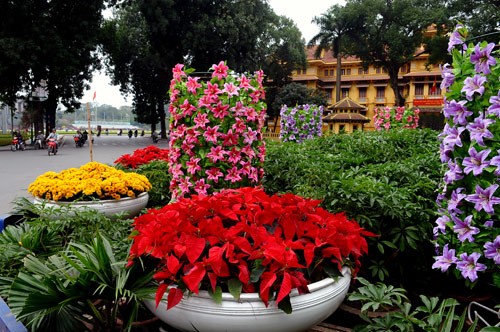 Pemandangan kota Hanoi sebelum Hari Raya Tet  - ảnh 1