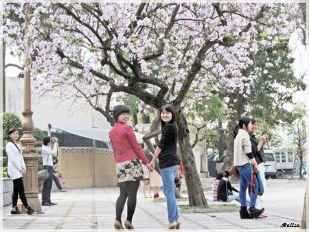 Musim bunga Ban  pada  Maret saban tahun di Hanoi - ảnh 8