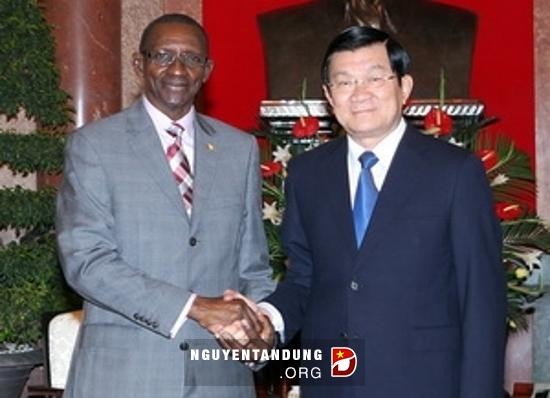 Presiden Vietnam Truong Tan Sang menerima Menteri Perdagangan Guinea - ảnh 1