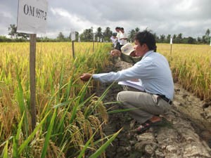 Vietnam-Jepang menandatangani permufakatan kerjasama pertanian - ảnh 1