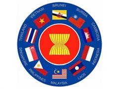 ASEAN mendorong pembentukan lingkungan beacukai bersama - ảnh 1