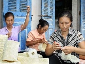 Vietnam selalu mendorong dan membela sepenuhnya hak-hak kaum wanita - ảnh 1