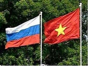 Konsultasi politik antara Vietnam dan Federasi Rusia - ảnh 1