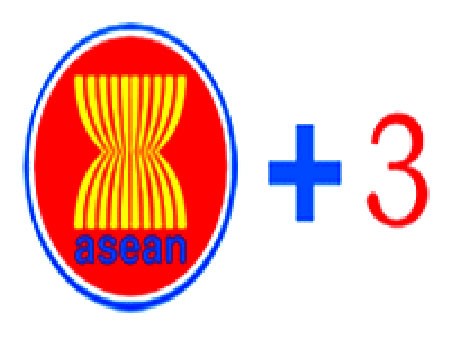 ASEAN+3 memperkuat kerjasama informasi komunikasi - ảnh 1