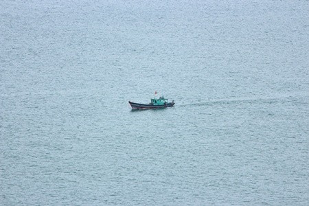 Keindahan daerah pantai My Khe, kota Da Nang pada musim panas 2014 - ảnh 7