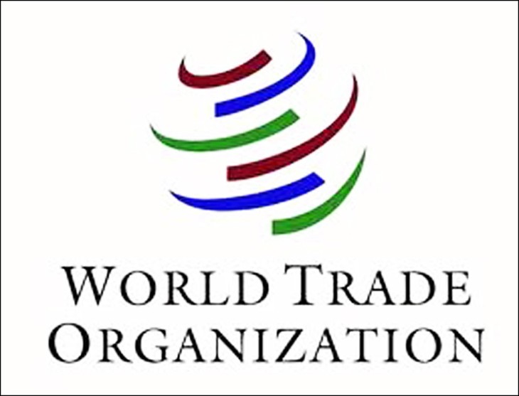 WTO menyerukan kepada kelompok G20 supaya menghapuskan rintangan perdagangan - ảnh 1