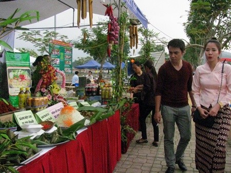 Hari-hari “Persatuan besar ASEAN – satu visi, satu identitas, satu komunitas”  - ảnh 9