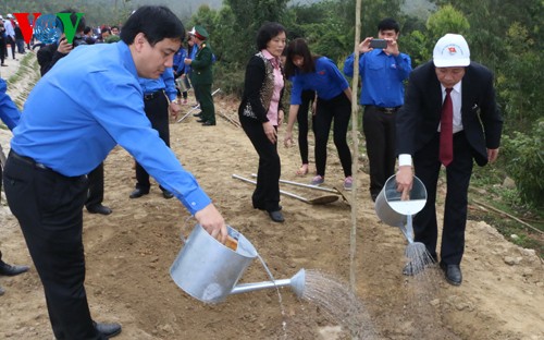 Liga Pemuda Komunis Ho Chi Minh mencanangkan Pesta Penghijauan di zona makam Jenderal Vo Nguyen Giap - ảnh 1