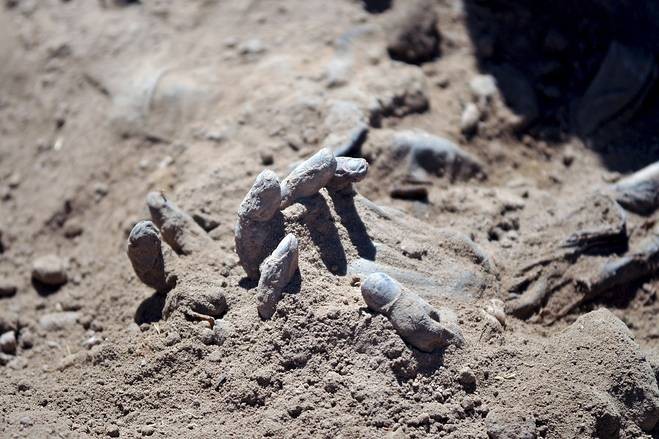 Irak menggali 470 jenazah dari makam kolektif di Tikrit - ảnh 1