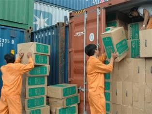 Masuk FTA dan kesempatan bagi Vietnam untuk melakukan restrukturisasi pasar - ảnh 1