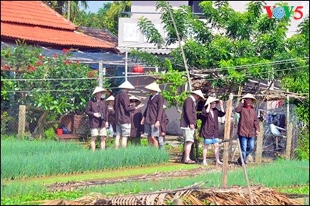 Mengunjungi desa sayur-sayuran organik tradisional Tra Que  - ảnh 3