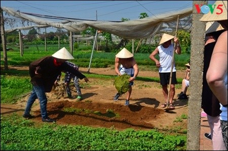 Mengunjungi desa sayur-sayuran organik tradisional Tra Que  - ảnh 7